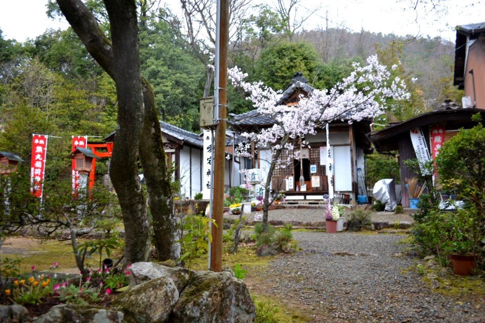 Atago Shrine (Matsugaoka) 20210325 01