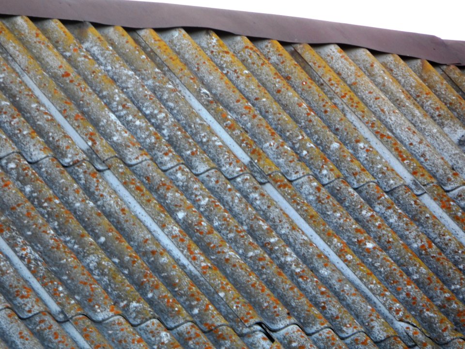 Asbestos-cement slate roof (02)