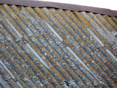 Asbestos-cement slate roof (02)