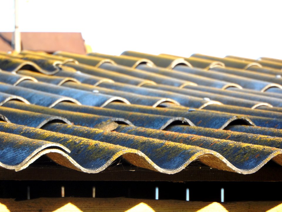 Asbestos-cement slate roof (03)