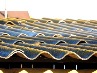Asbestos-cement slate roof (03)