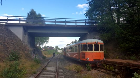 Aseda narrow gauge train2