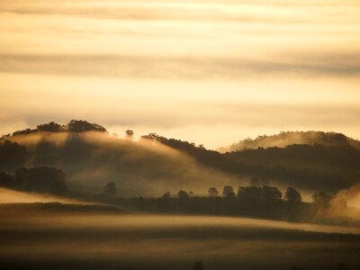 Forest nature landscape