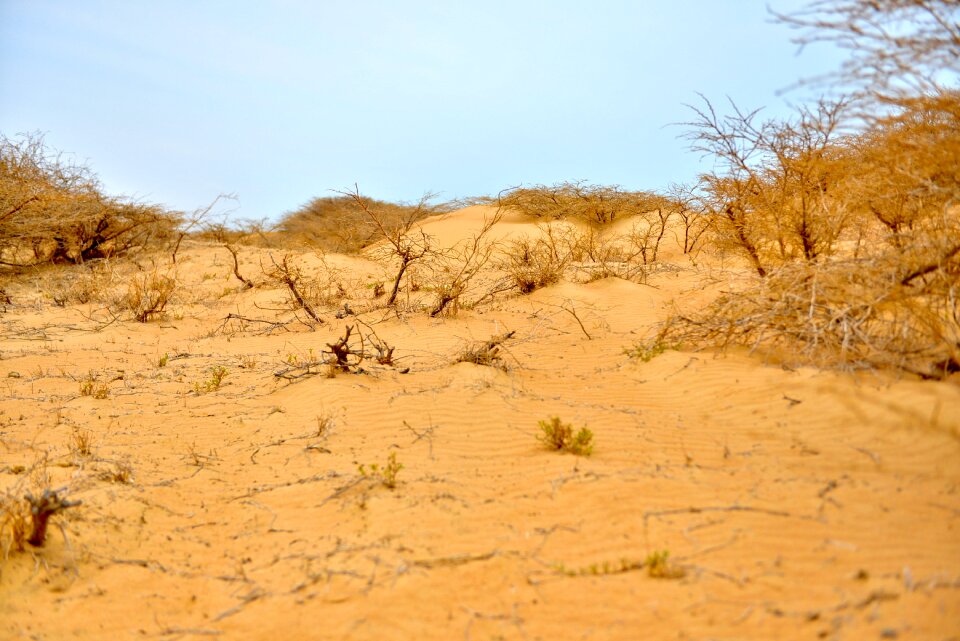 Nature sky sand