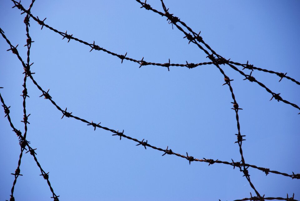 Barbed wire caught labor camp
