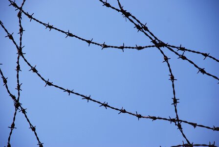 Barbed wire caught labor camp photo