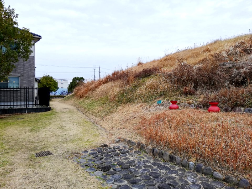 Aotsuka Kofun 20200126 05