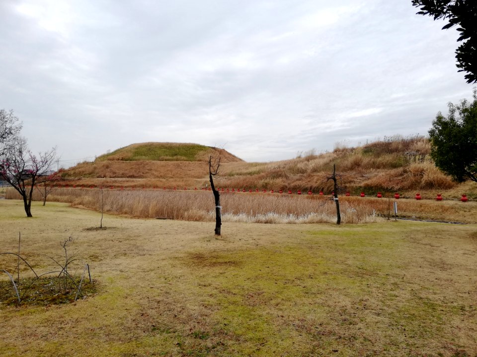 Aotsuka Kofun 20200126 08
