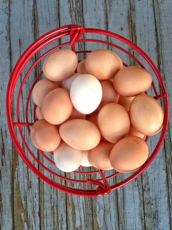 Easter egg food