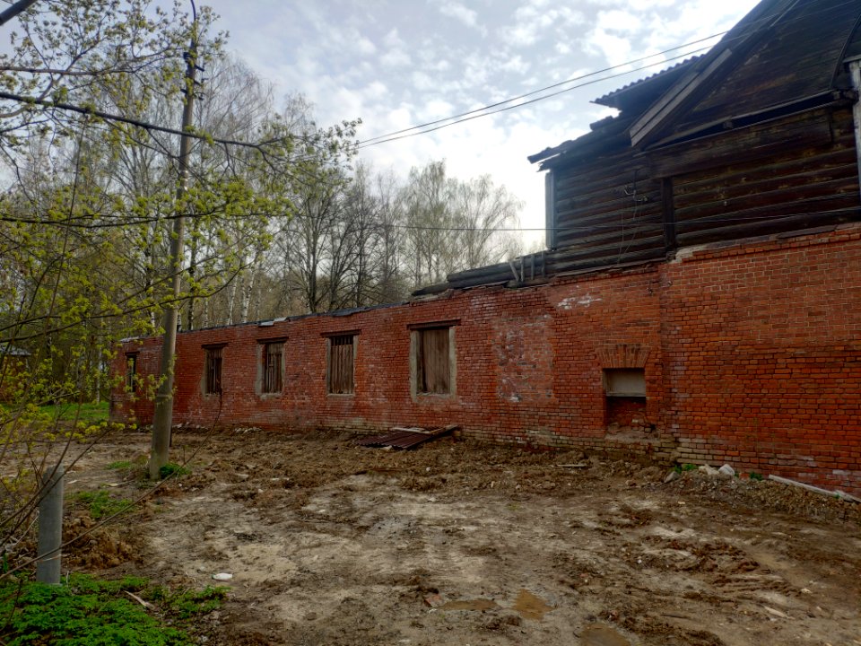 Barnyard in Vinogradovo - 2021-05-02 - p8