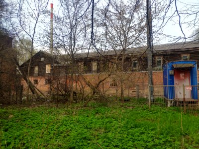 Barnyard in Vinogradovo - 2021-05-02 - p4