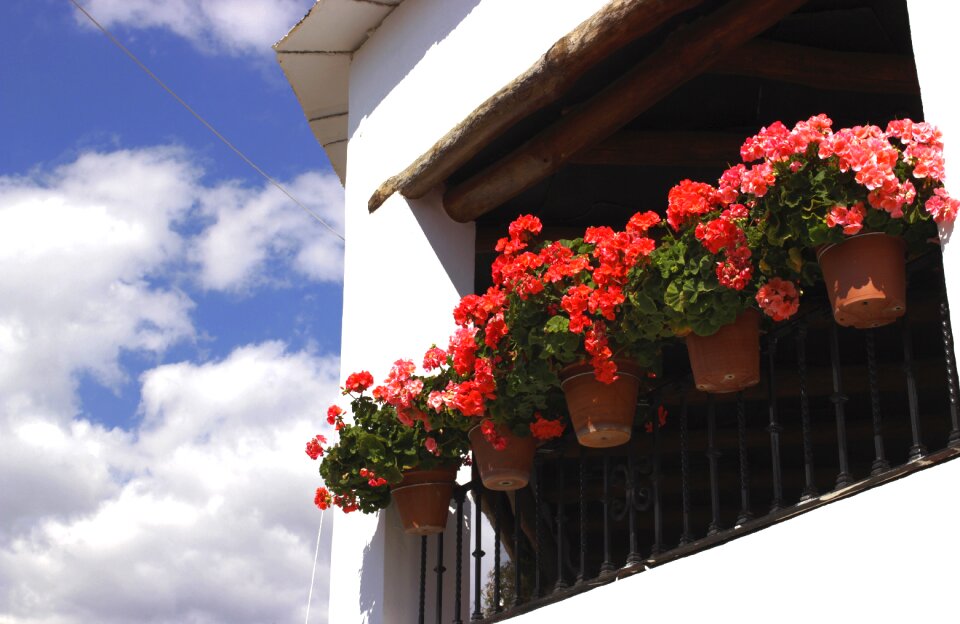 Capileira andalusia white people