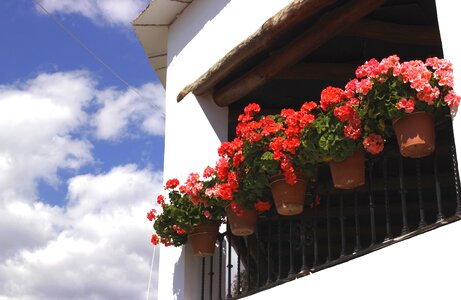 Capileira andalusia white people