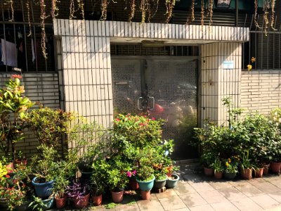 Apartment Gate with Bonsai in Minsheng Community 20180419