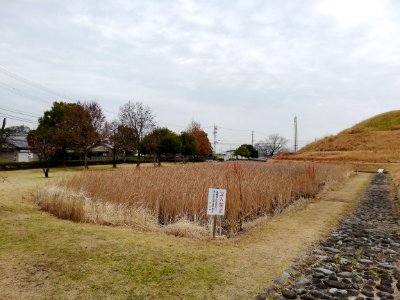 Aotsuka Kofun 20200126 06