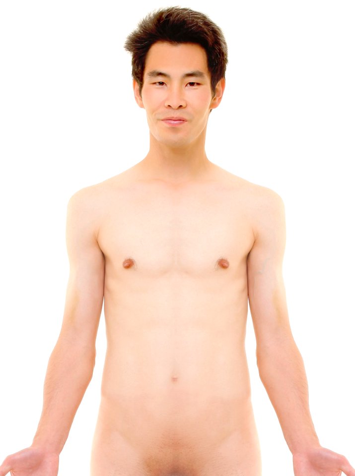 Anterior view of male upper body, retouched