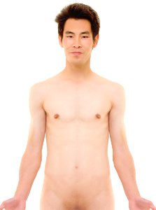 Anterior view of male upper body, retouched