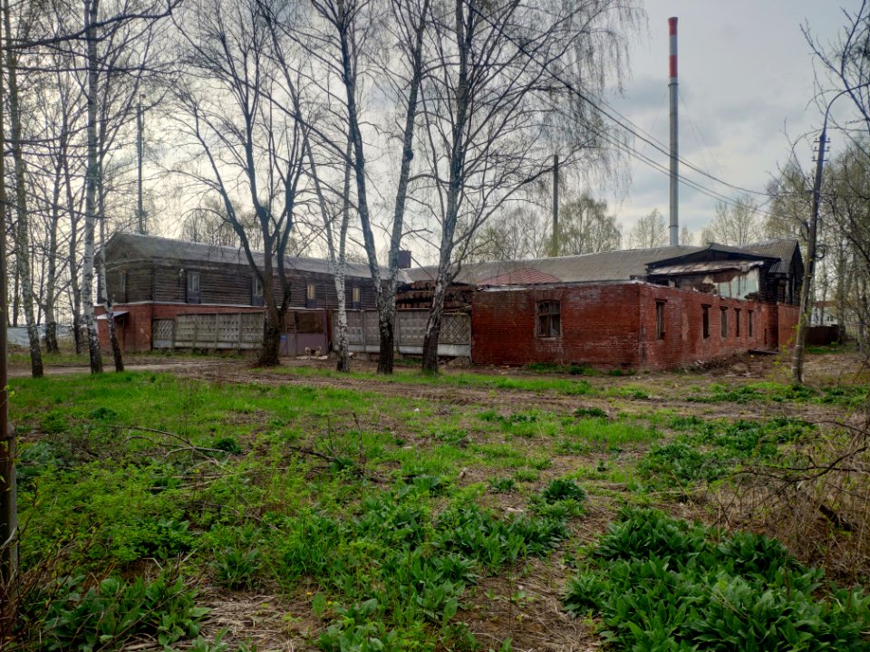Barnyard in Vinogradovo - 2021-05-02 - p5
