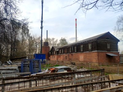 Barnyard in Vinogradovo - 2021-05-02 - p3