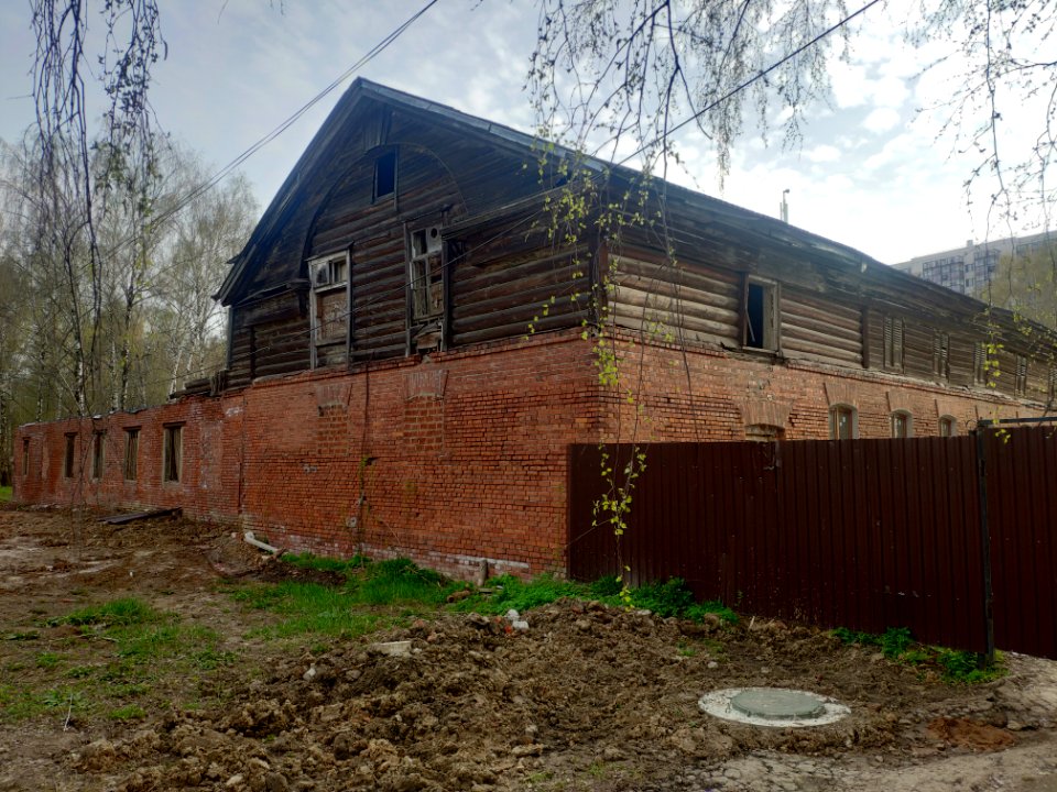 Barnyard in Vinogradovo - 2021-05-02 - p6