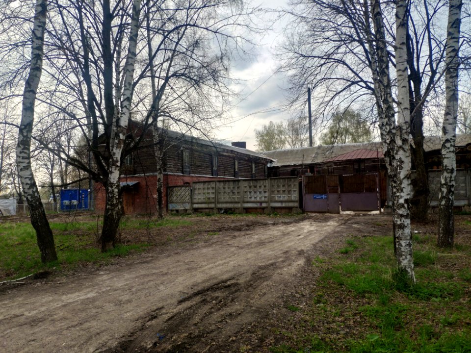 Barnyard in Vinogradovo - 2021-05-02 - p1