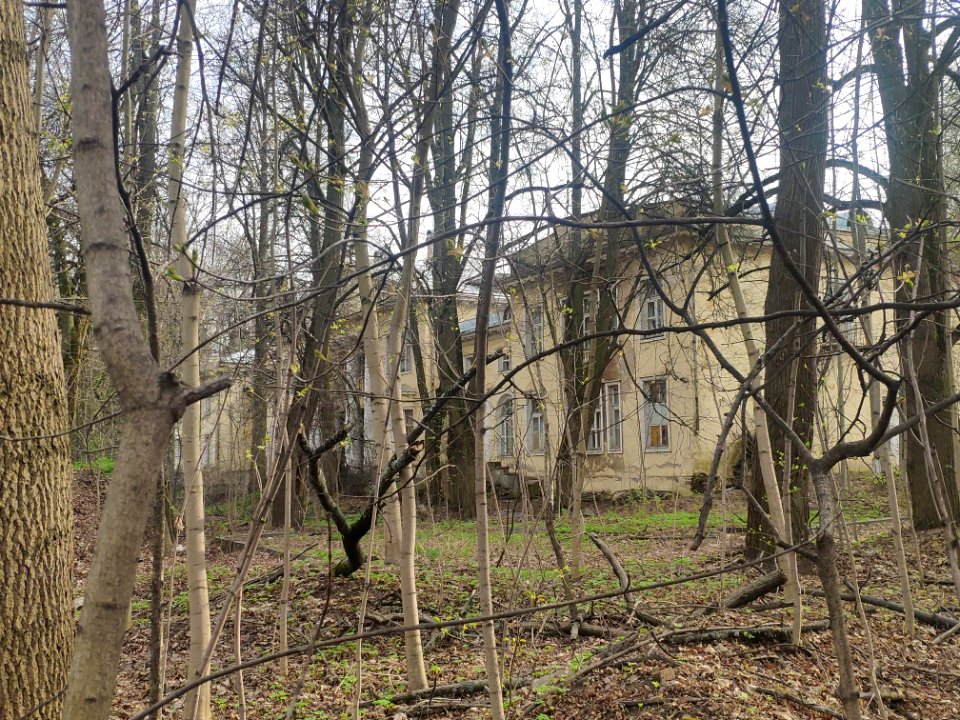 Banza house in Vinogradovo - 2021-05-02 - p1