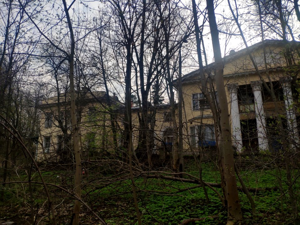 Banza house in Vinogradovo - 2021-05-02 - p2