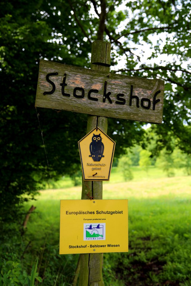 Behlow NSG Stockshof Behlower Wiesen 01