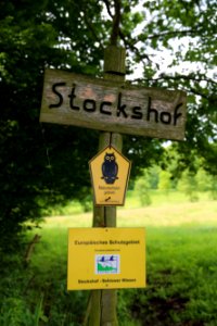 Behlow NSG Stockshof Behlower Wiesen 01