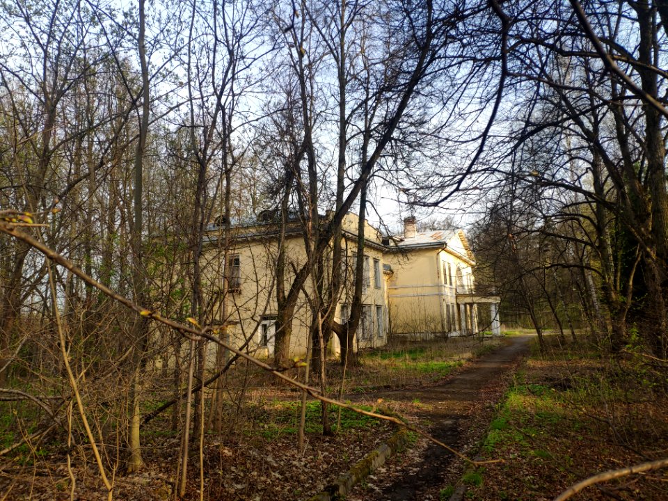 Banza house in Vinogradovo - 2021-05-02 - p5