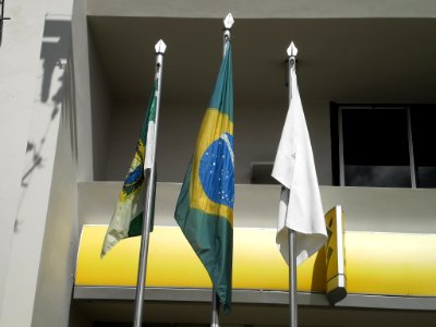 Bandeiras do Brasil, RN e Pau dos Ferros (3)