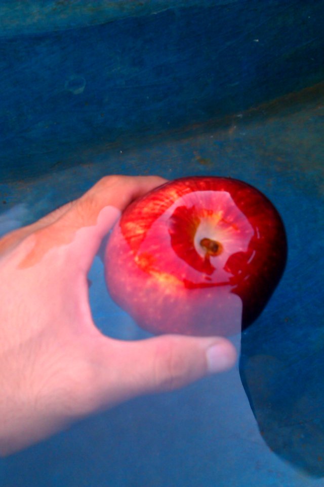 Beautiful red apple 01