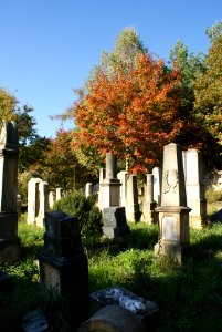 Autumn in Veselice cemetery 01