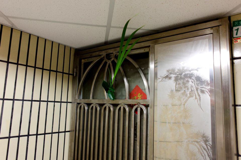 Auspicious plants Tied on Door 20150620