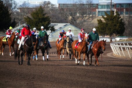 Horse race jockey race