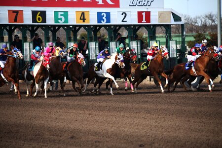 Horse race jockey race