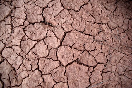 Drought earth desert
