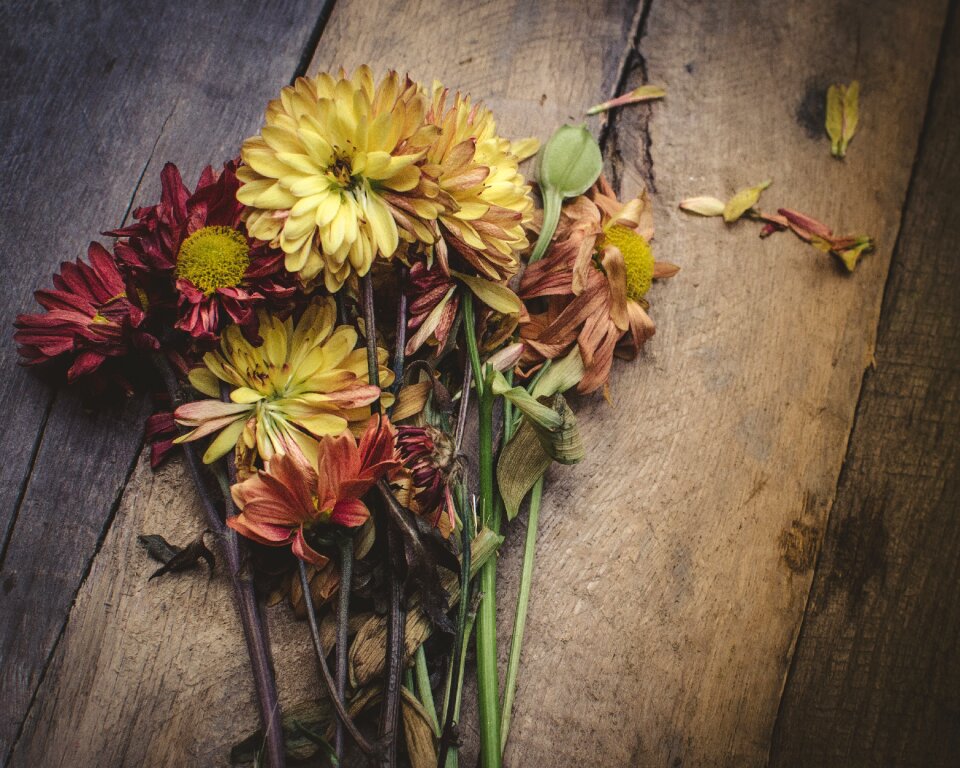 Flowers petal wooden