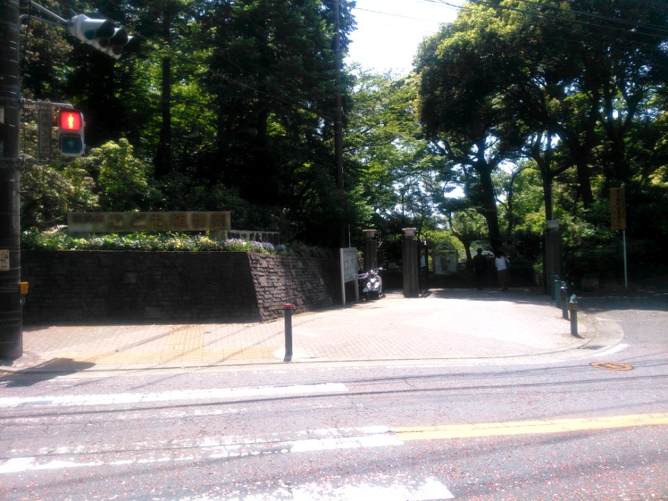Yokohama Municipal Children's Botanical Garden 20180429-01
