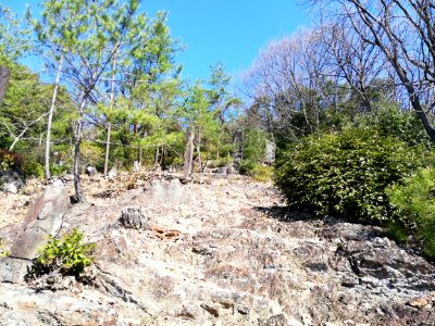 Yagumasan Butsugen-in Temple 20210315 06