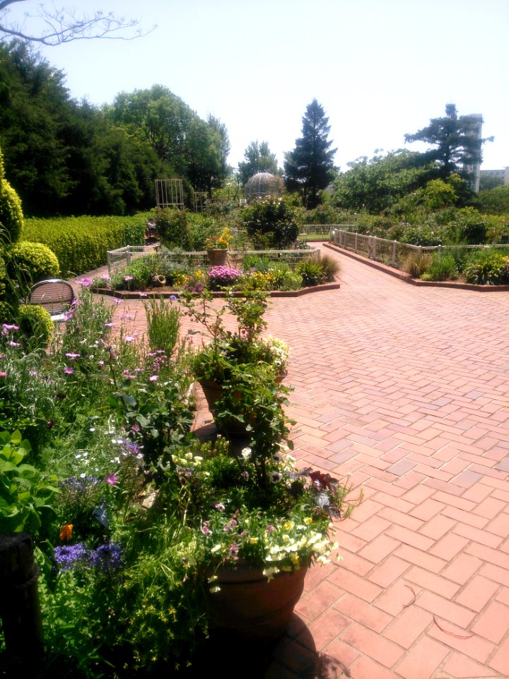 Yokohama Municipal Children's Botanical Garden 20180429-04