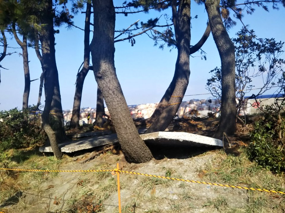 Yokohama Kanazawa breakwater, destroyed by Typhoon Faxai in 2019 03