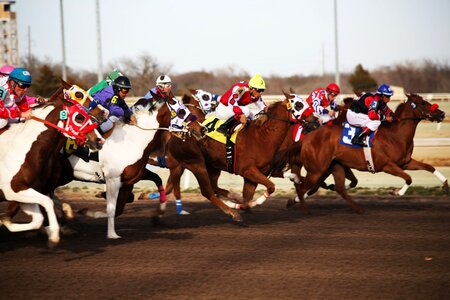 Horse race jockey race photo