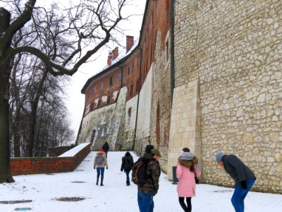 Wawel 14
