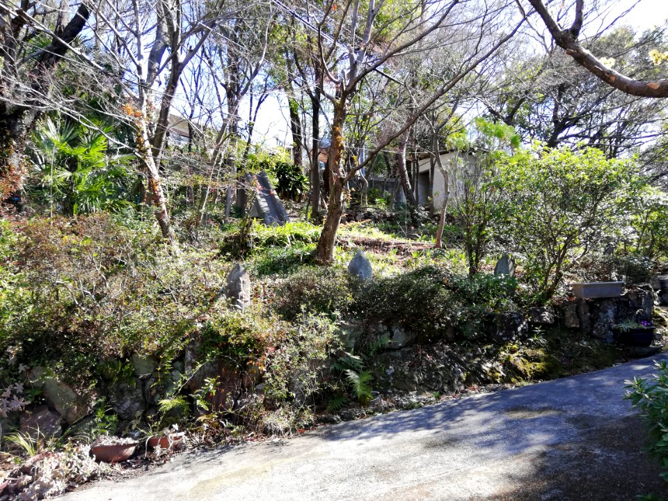 Yagumasan Butsugen-in Temple 20210315 12