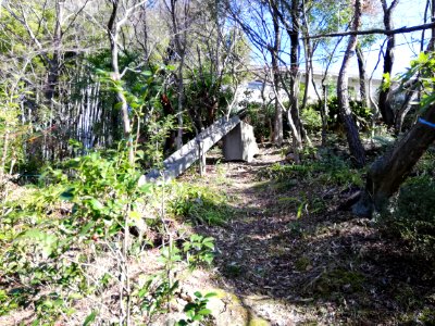 Yagumasan Butsugen-in Temple 20210315 13