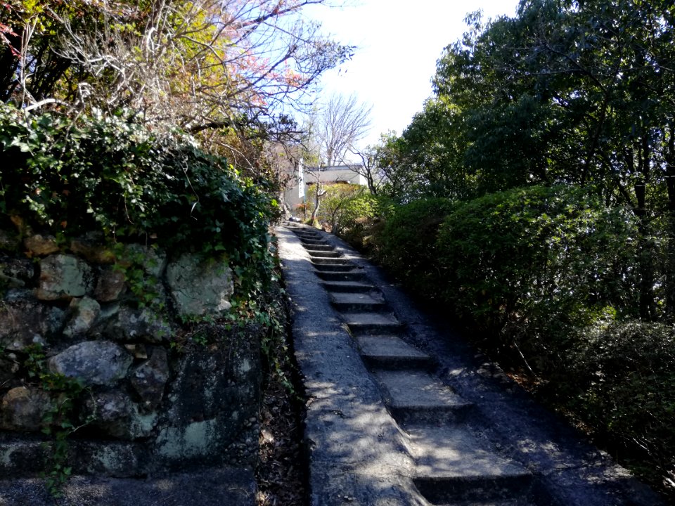 Yagumasan Butsugen-in Temple 20210315 14