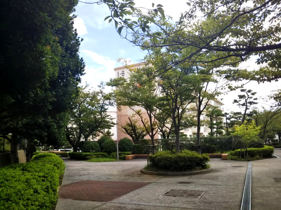 Yōkōdai Kita Danchi 20180907-04