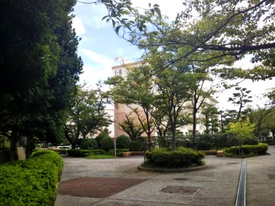 Yōkōdai Kita Danchi 20180907-04