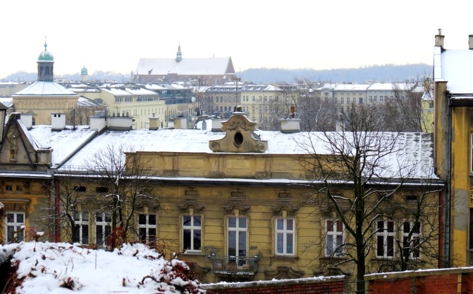 Wawel 31